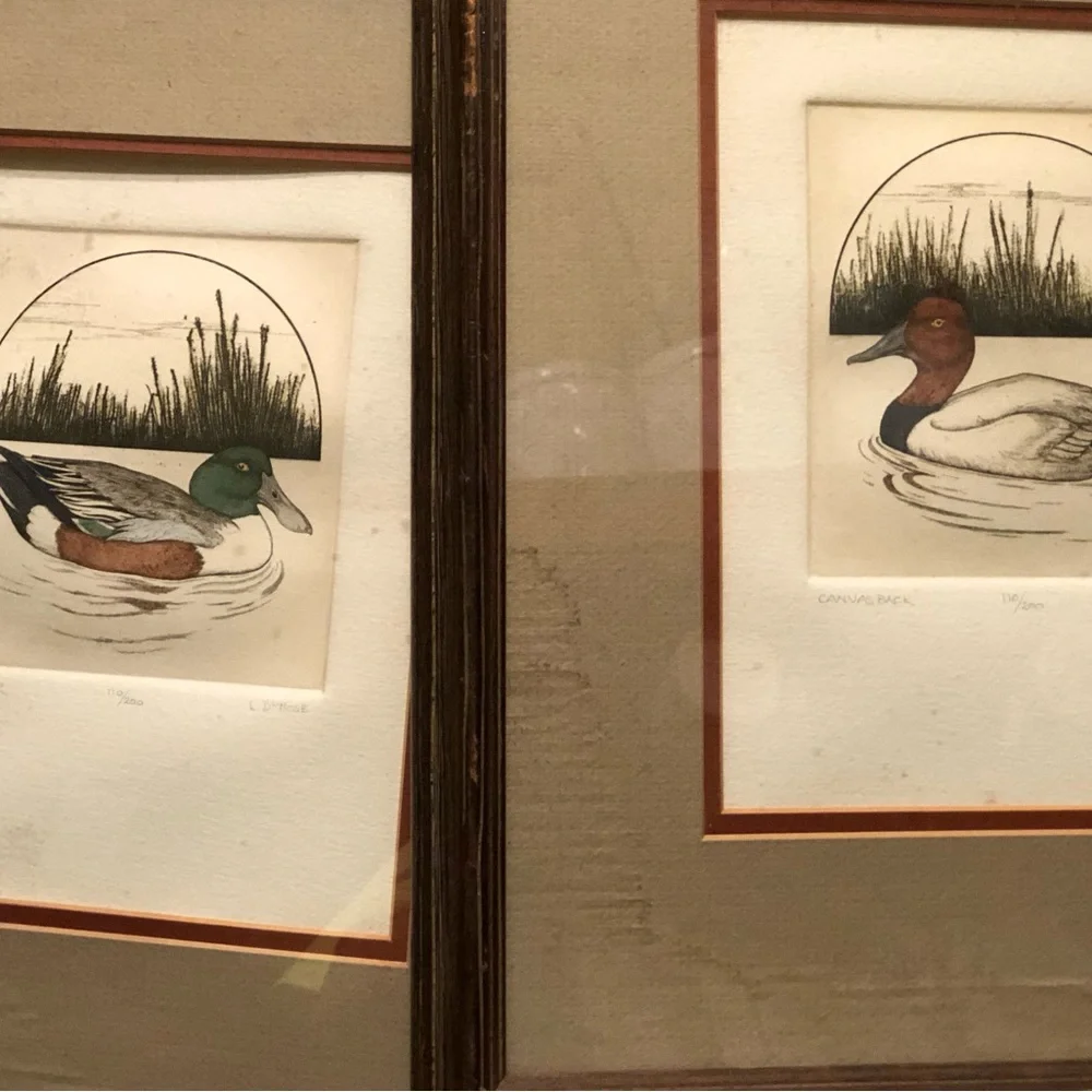 2258 Set Canvas Back /Shoveler Duck Prints by L. DuBose Signed & Numbered Framed